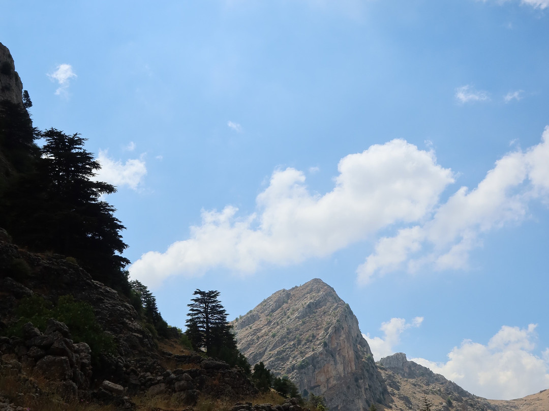 Discovery Beyond Borders-Zouk Mosbeh必去景点