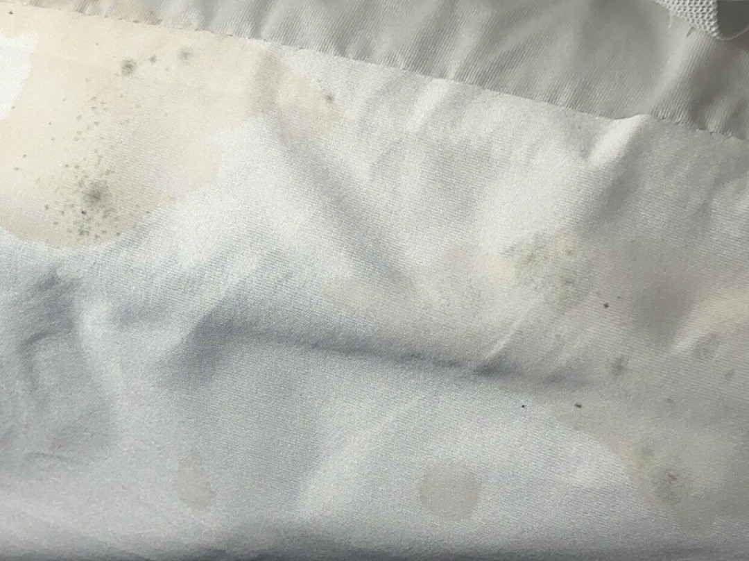 Comfort Inn Carrier Circle主图