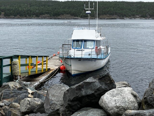 Molly Bawn Whale & Puffin Tours-Mobile必去景点