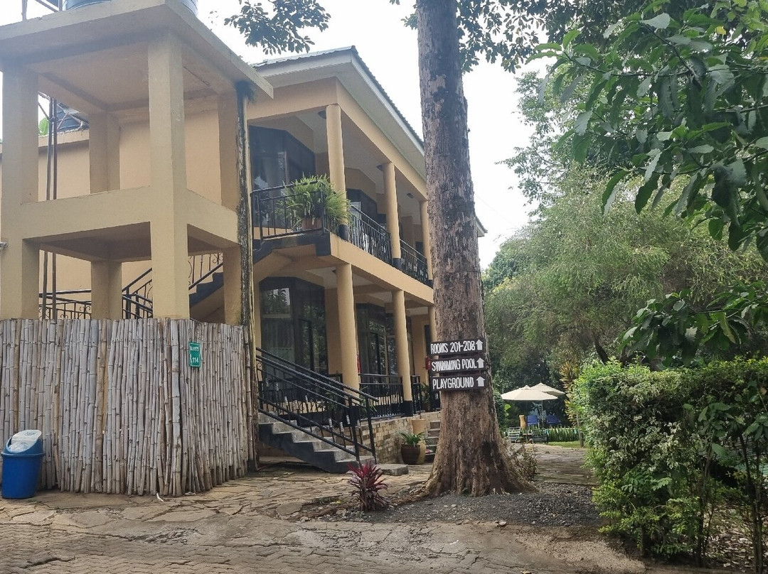 非洲萨法里阿鲁沙主图