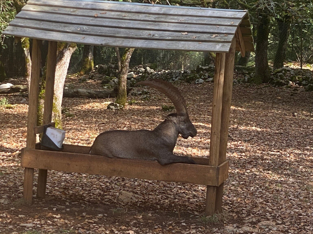 Parc Animalier de Gramat-Gramat必去景点