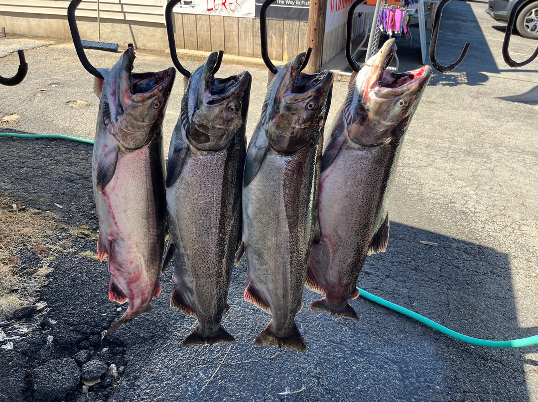 Midway Charters-Pulaski必去景点