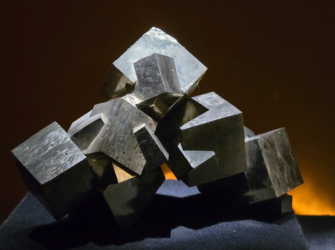 Muséum de Grenoble-格勒诺布尔必去景点