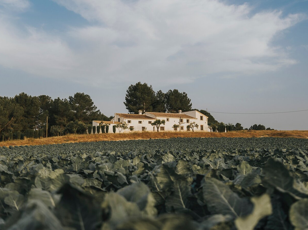 Calasparra酒店住宿-Casa Pedro Barrera
