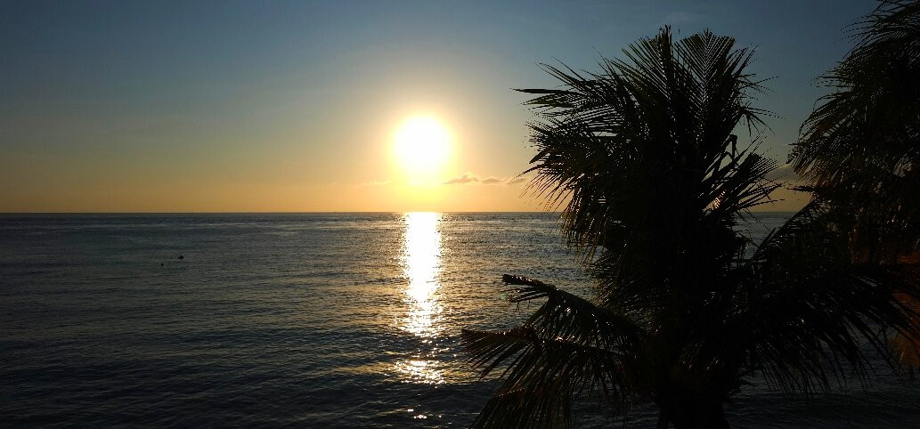 娜莉妮度假村主图