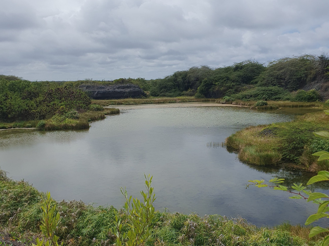 Posada de flamengos-维里亚米尔港必去景点
