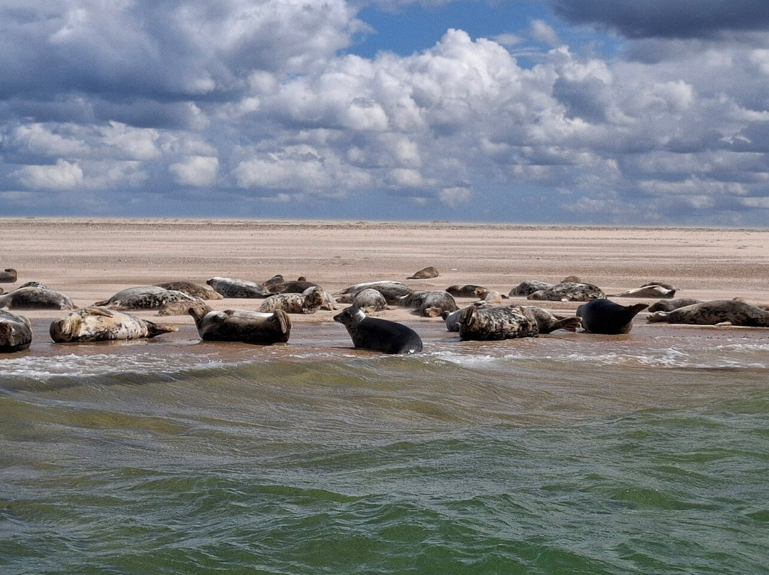 Bishops Boats Seal Trips-布莱克尼必去景点