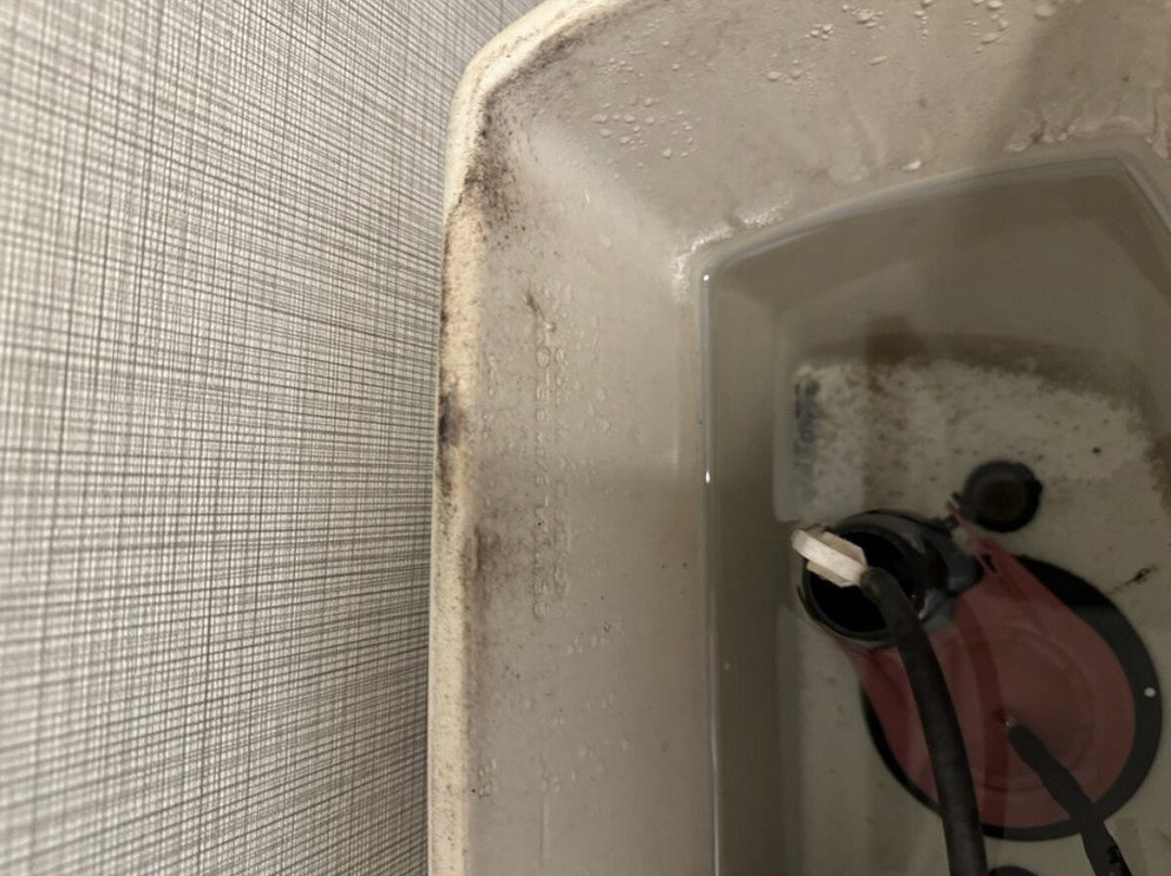 Residence Inn by Marriott Midland主图