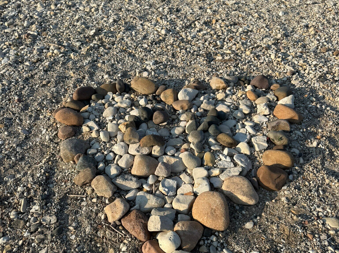 Purple Martin Lakeside Inn & Nature Center主图