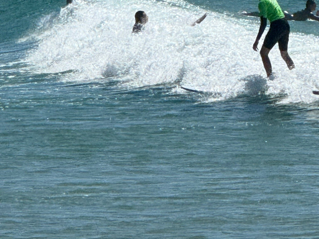 Currumbin Alley Surf School-可伦宾必去景点