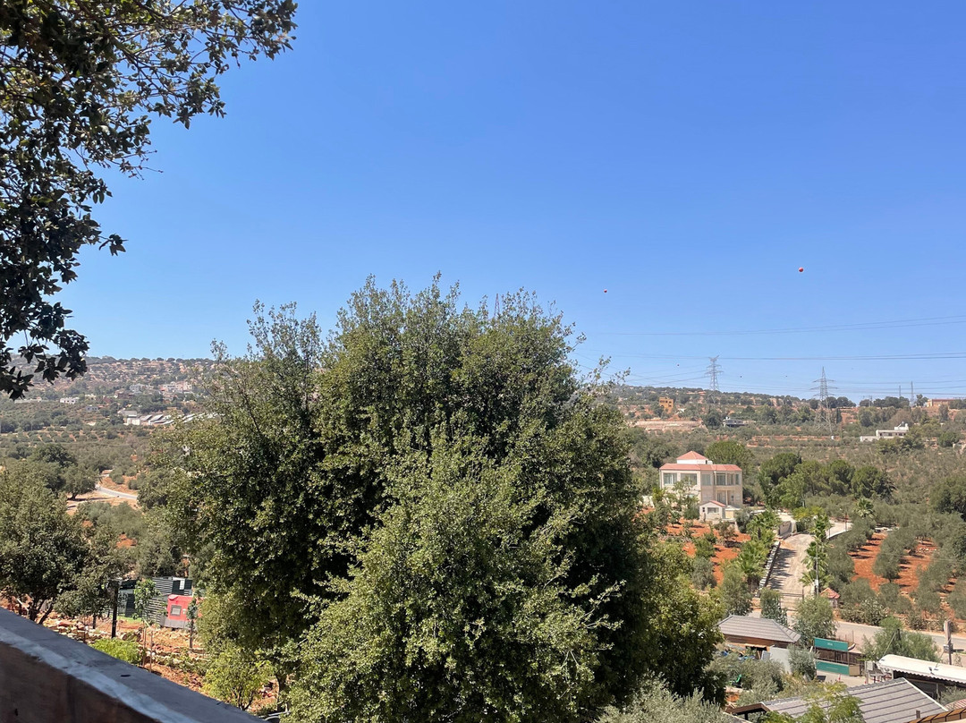 Bait Shaker-Al Salt必去景点