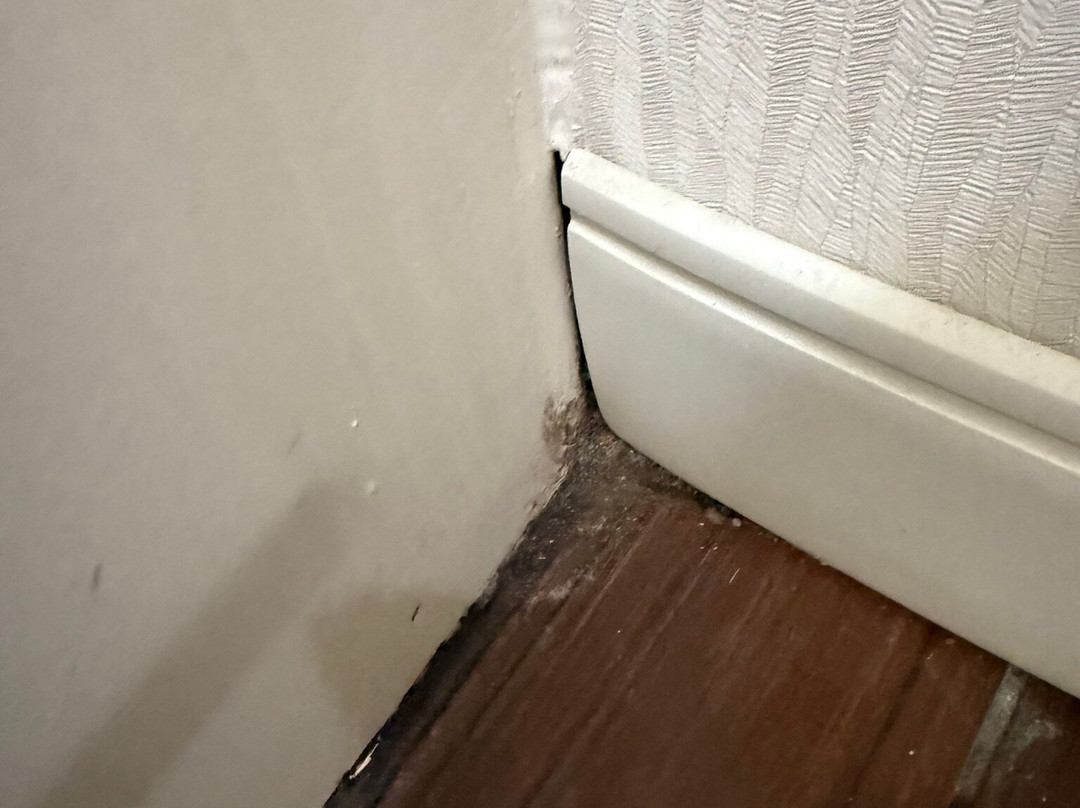 阿德尔希尔顿恒庭酒店主图