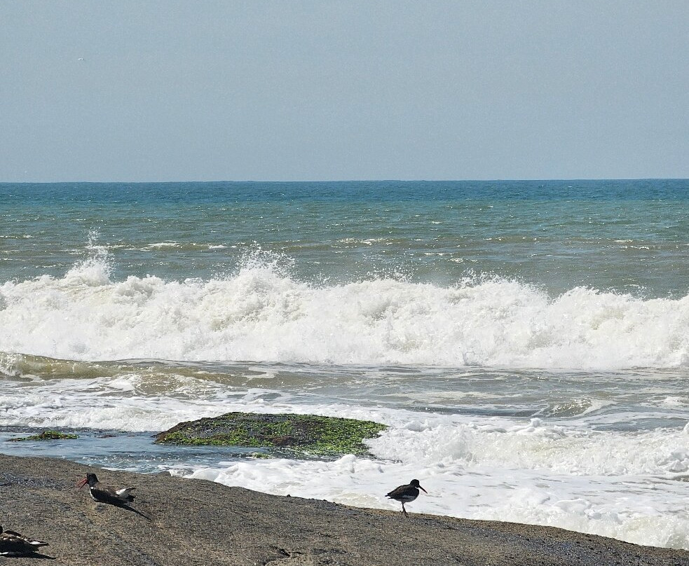 Capivara Trail-瓜拉帕里必去景点