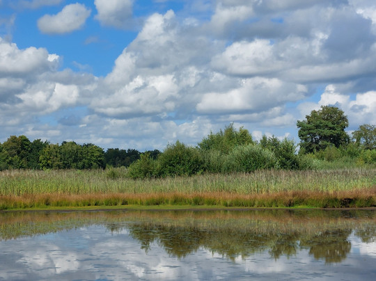 Platwijers-Zonhoven必去景点