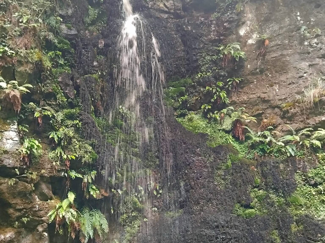 Belmore Forest - Pollnagollum Cave Walk-恩尼斯基林必去景点