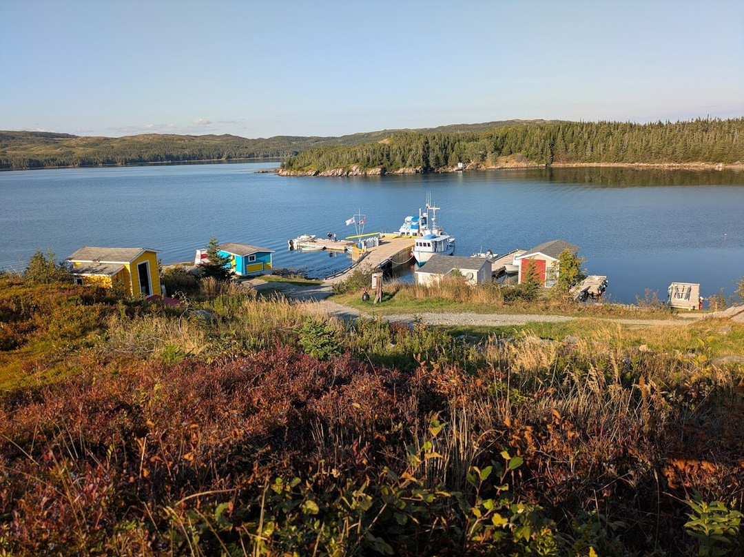 Woody Island Resort主图