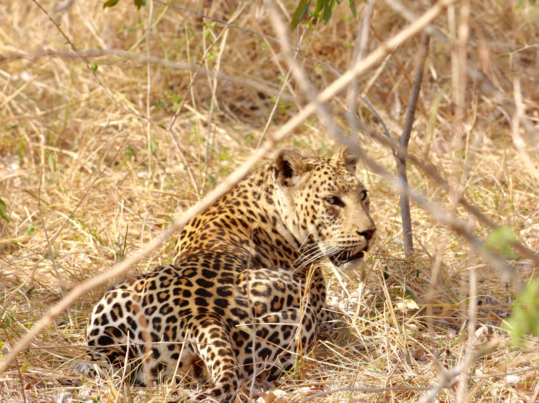 Mbombela Experience Tours and Safaris-尼斯普鲁特必去景点