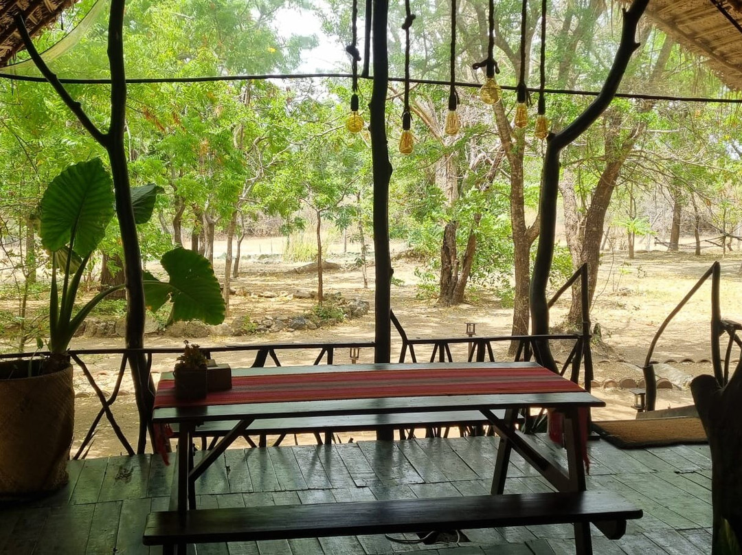 Camp Leopard - Yala Safari Glamping主图