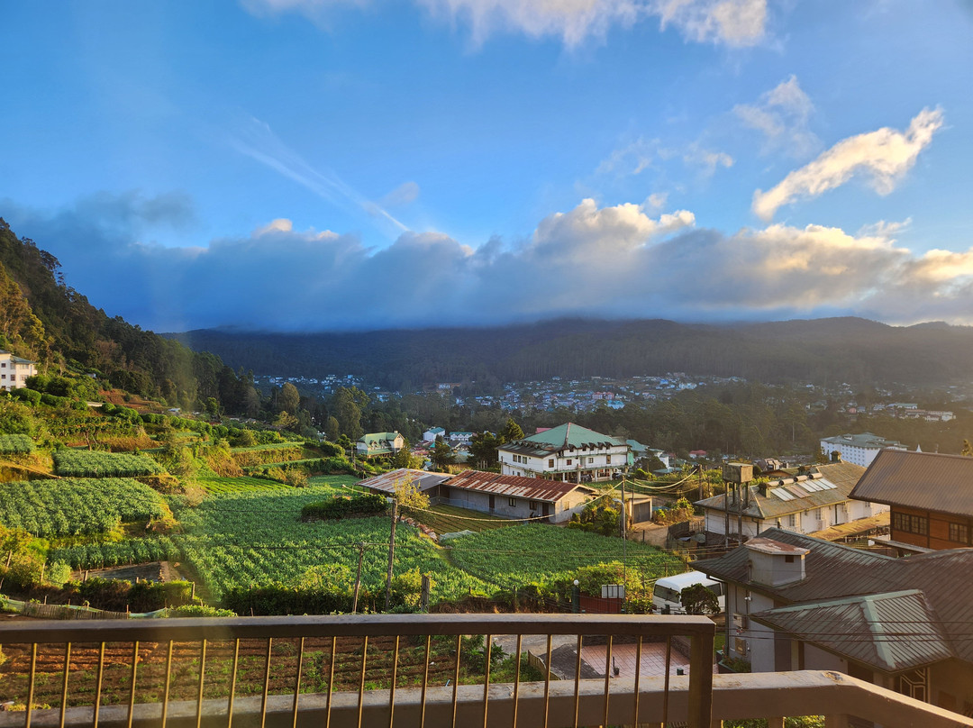 Sri Lanka Tours & Holidays-Wattala必去景点