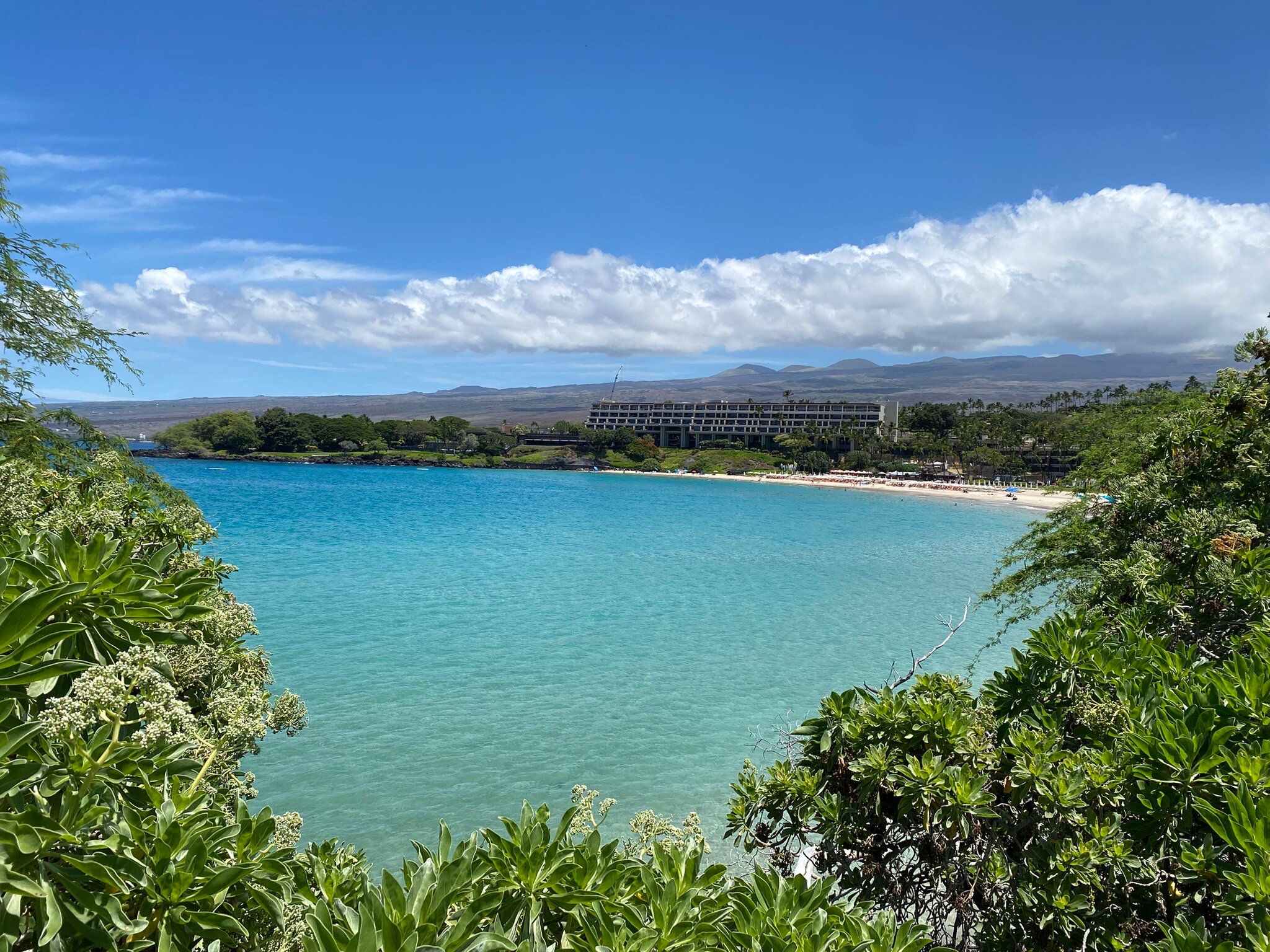 莫纳克亚海滩酒店-官方