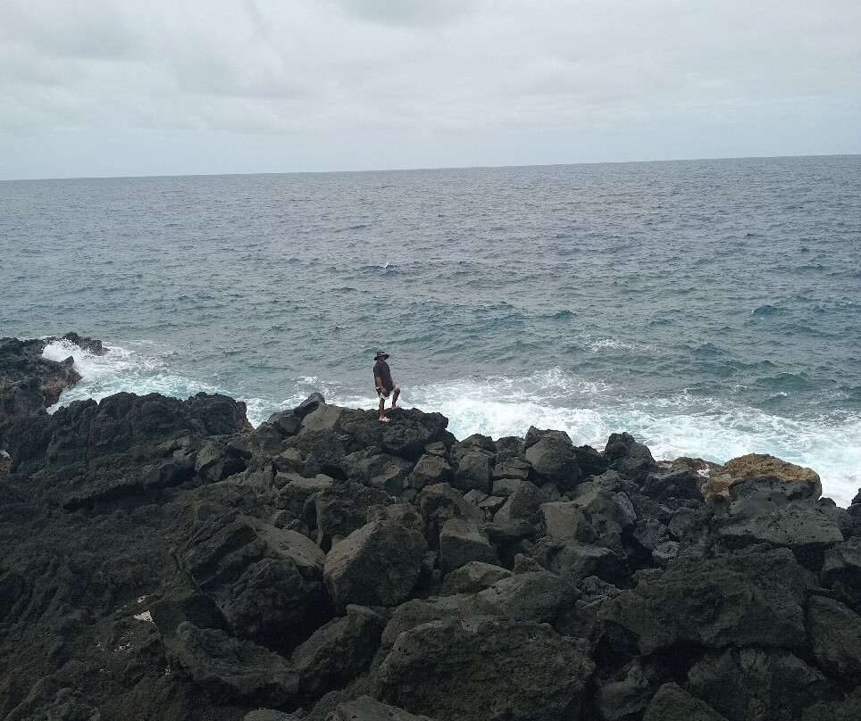 Lavena Coastal Walk-塔韦乌尼岛必去景点