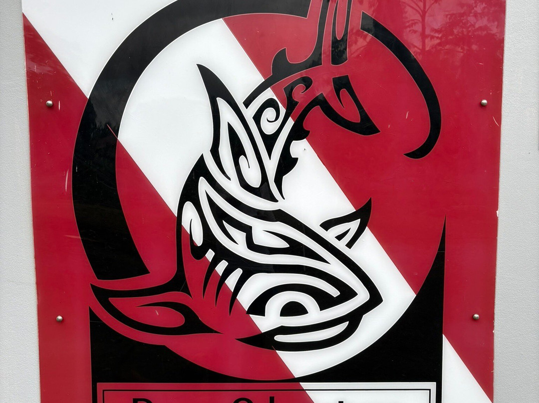 Beqa Adventure Divers-太平洋港必去景点