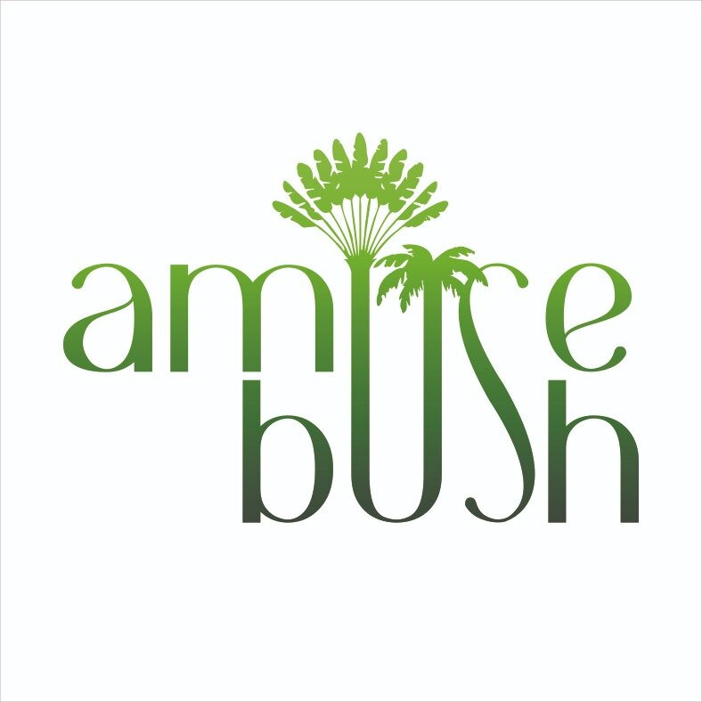 Amuse Bush Villa
