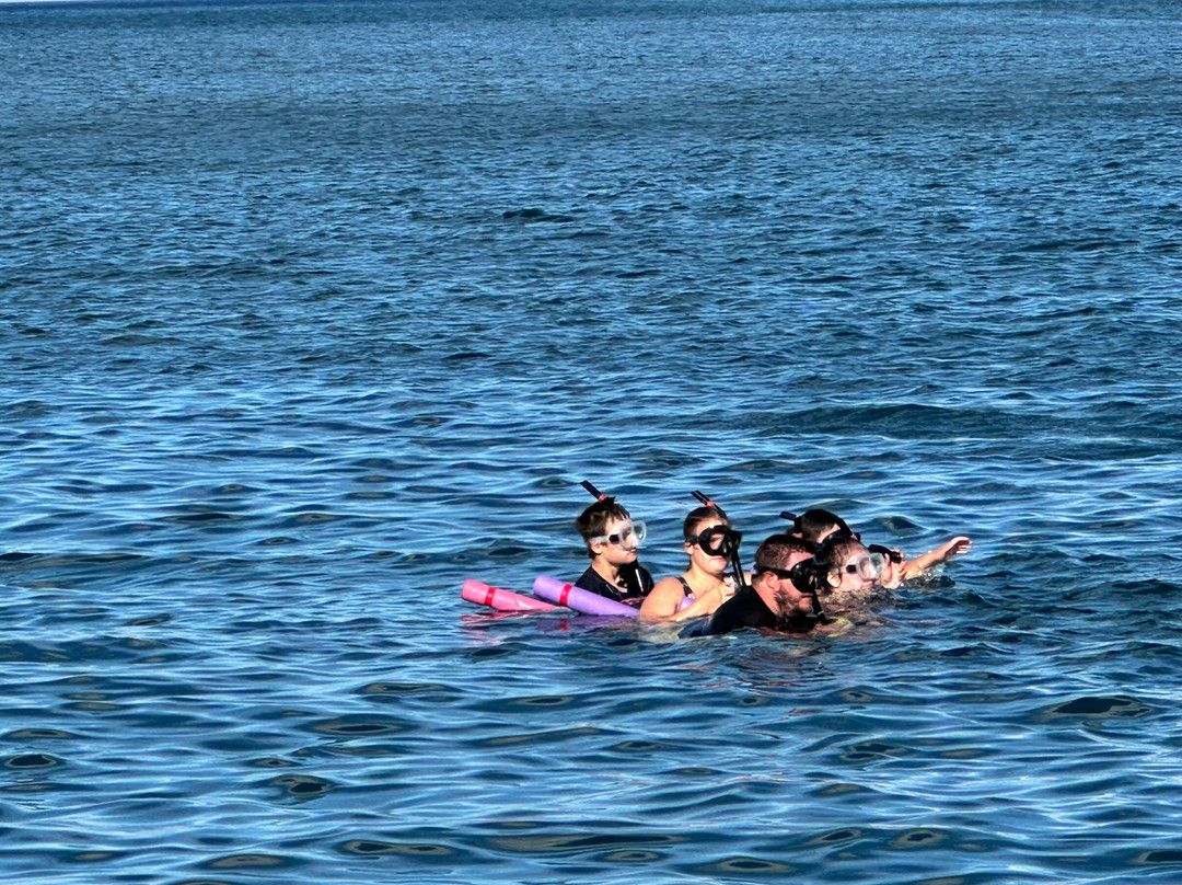 Maui Snorkeling-玛阿拉也亚必去景点