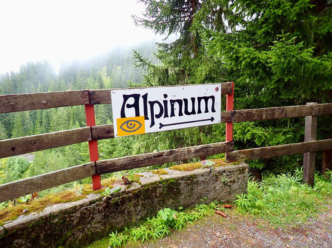 Botanical Garden Alpinum Schatzalp-Davos Platz必去景点