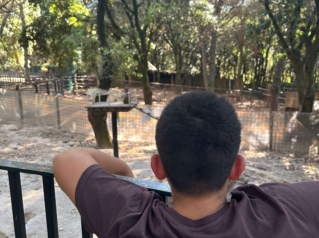 Città Della Domenica-佩鲁贾必去景点