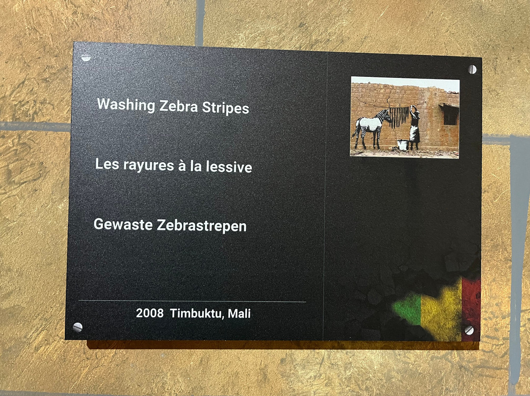 Banksy Museum - Brussels-布鲁塞尔必去景点