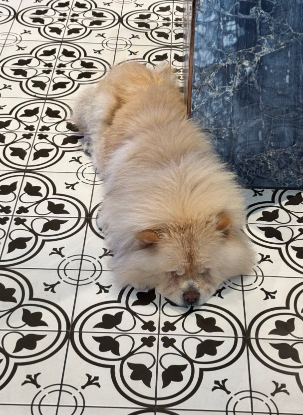 培拉沃尔顿花园公寓酒店-官方