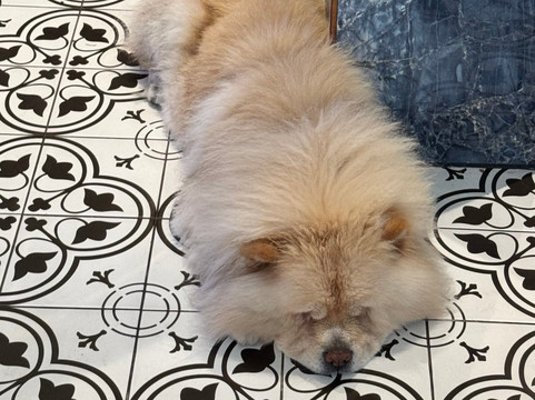 培拉沃尔顿花园公寓酒店主图