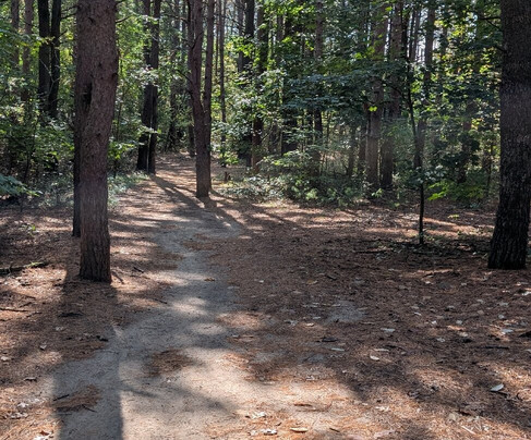 Provin Trails Park-大急流市必去景点