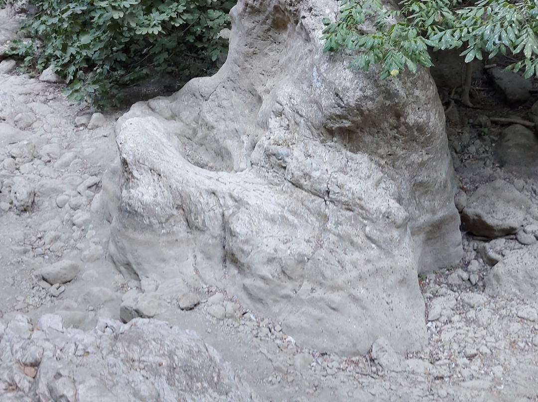 St. Anthony Gorge (Gorge of Patsos)-Patsos必去景点