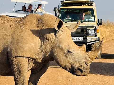 Malee Safaris-内罗毕必去景点
