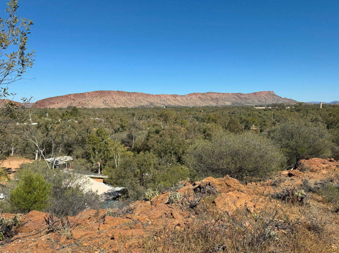 Olive Pink Botanic Garden-爱丽斯泉必去景点
