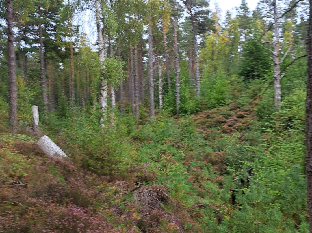 Winding Walks-Fochabers必去景点