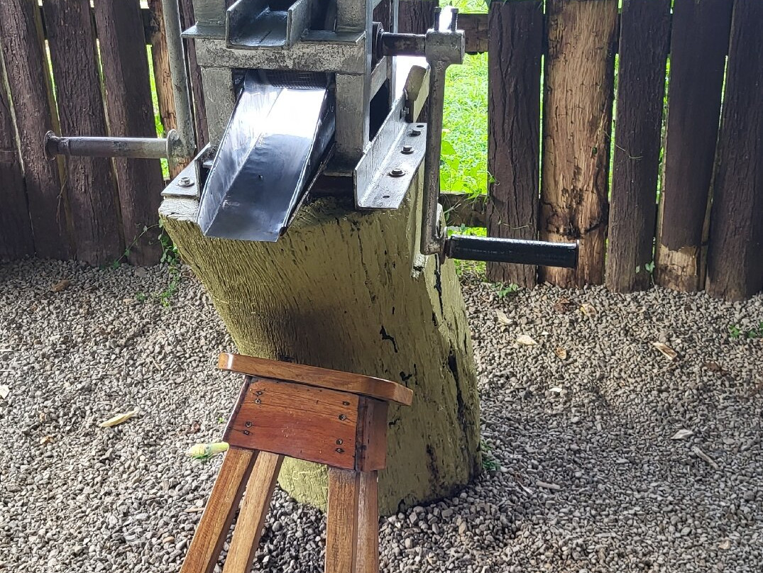 Finca Sura-Puerto Viejo de Sarapiqui必去景点