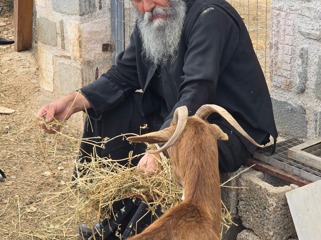 Levantes Hotel主图