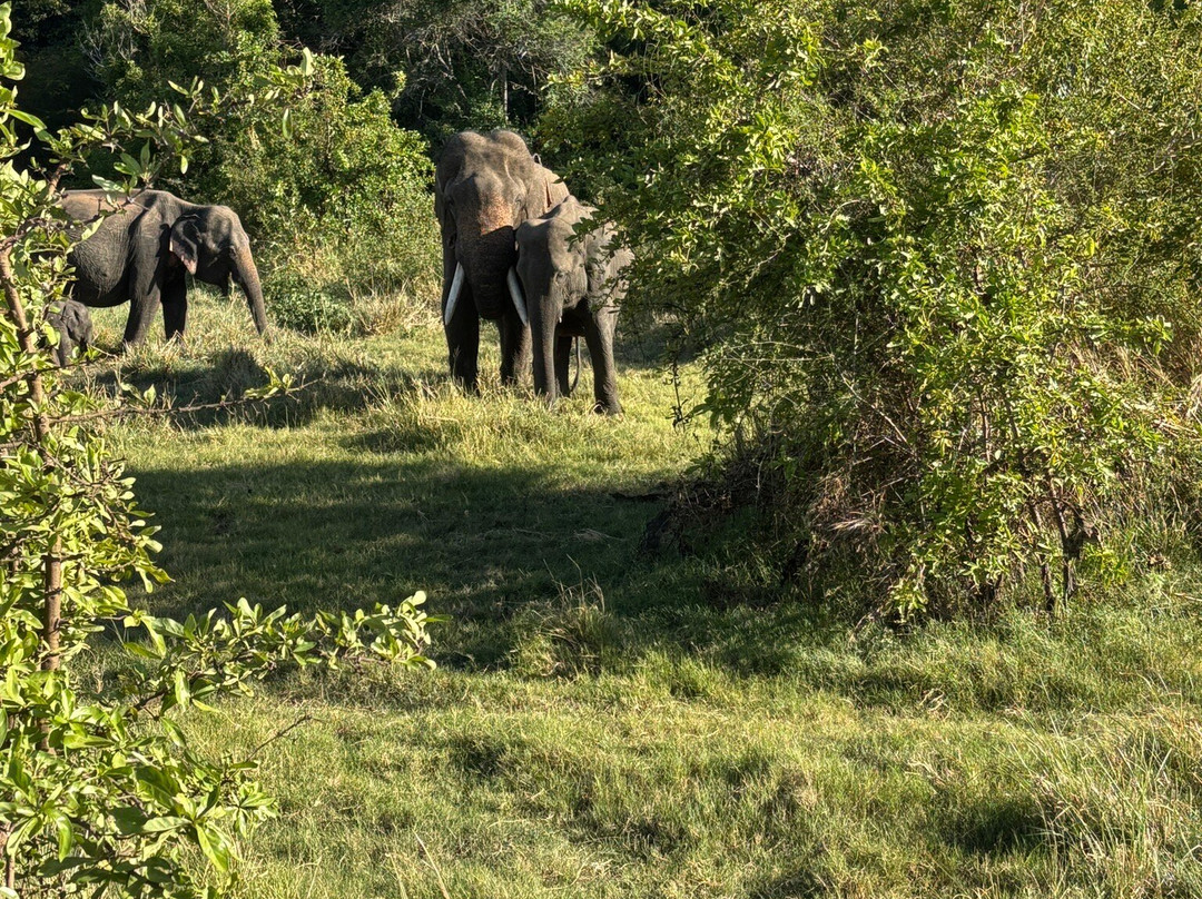 Ceylon Travel With Danu-Omantai必去景点