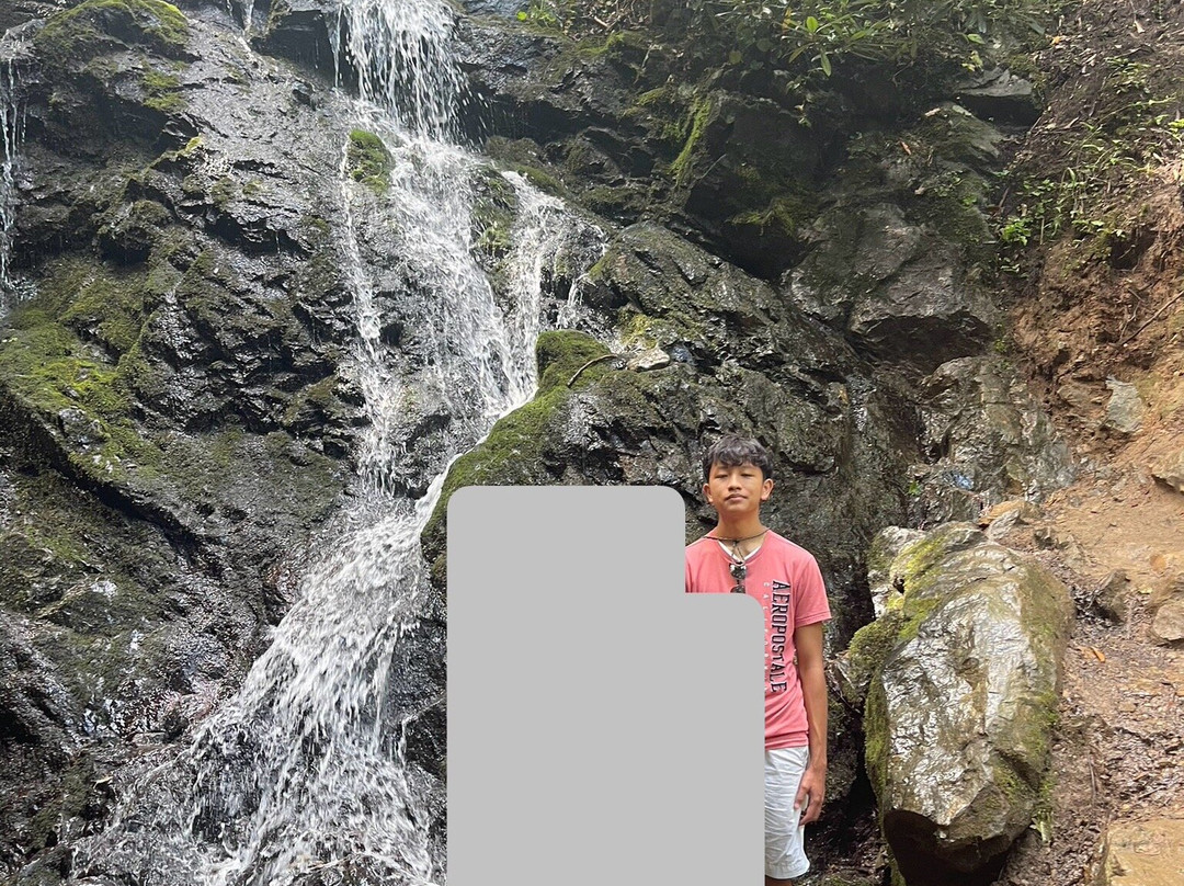 Cataract Falls-大雾山国家公园必去景点