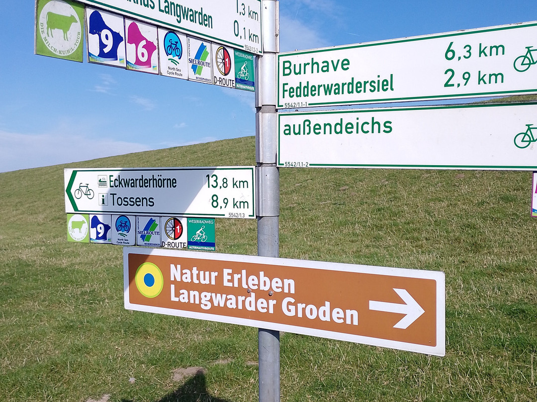 Langwarder Groden-Butjadingen必去景点