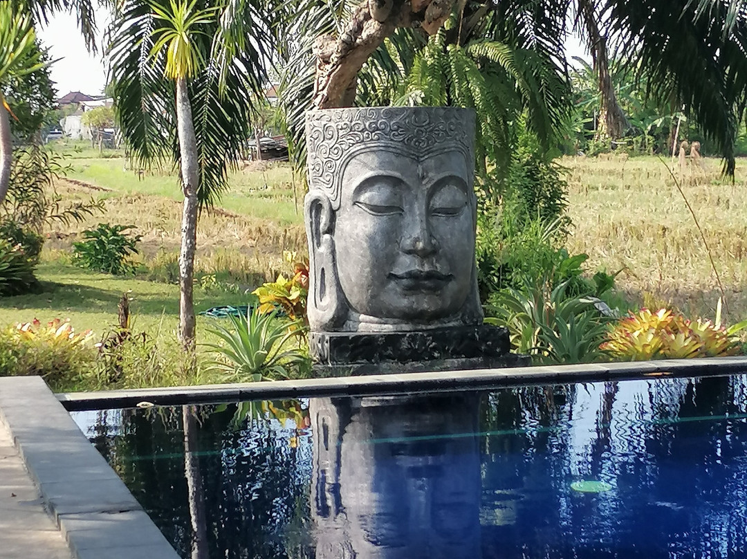 帕达瓦假日公园主图