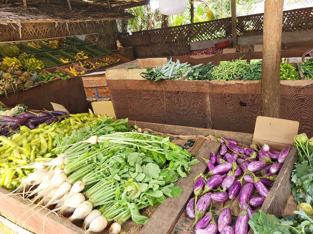 Milan Home Stay主图