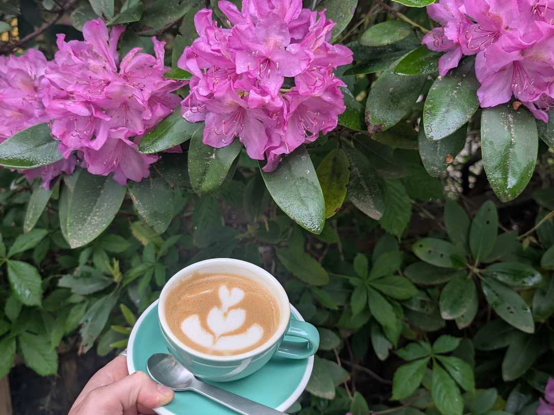 Crane Creek Vineyards-Young Harris必去景点