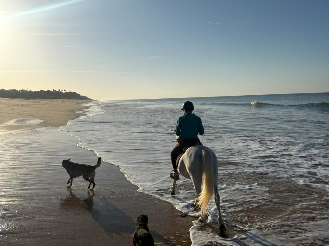 Clube Equestre A Palmeirinha-Almancil必去景点