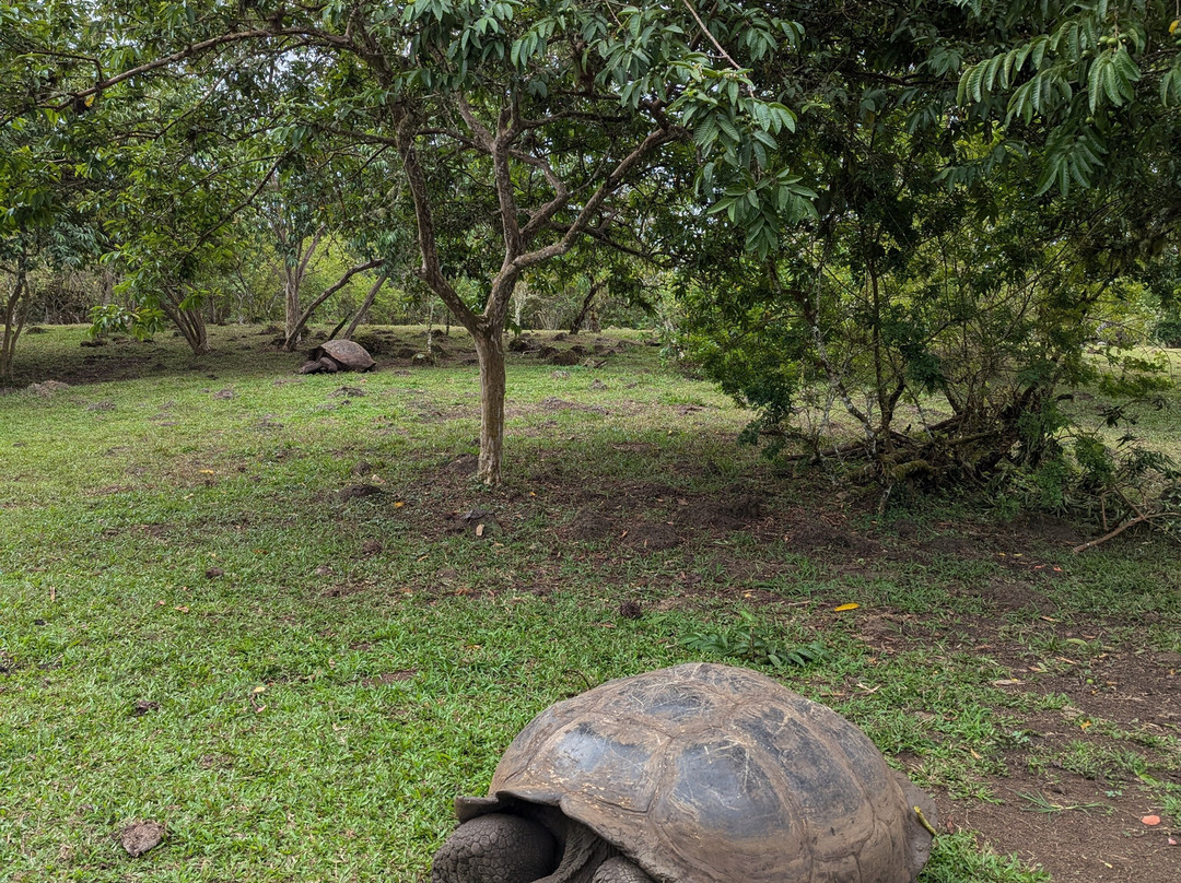 Rancho Primicias-圣克鲁斯必去景点