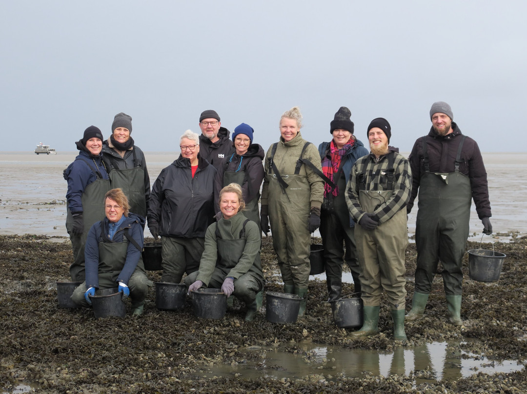 Turfaergen Mandopigen-Mandoe必去景点