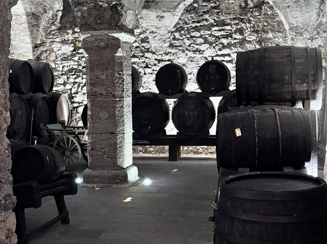 Sudtiroler Weinmuseum-Caldaro sulla Strada del Vino必去景点